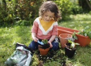 Rasgos de Personalidad Clave del Niño Capricornio: Guía Completa para Padres
