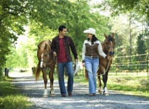 Guía práctica para hablar como un auténtico sureño estadounidense