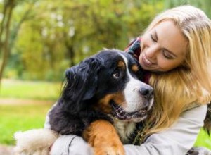 Por qué elegir mascotas en lugar de la maternidad: ventajas prácticas y emocionales
