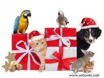 10 regalos agradables para los amantes de los animales