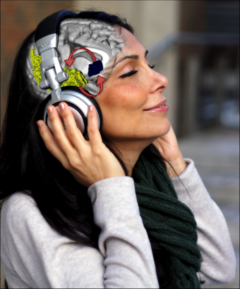 Cómo afecta la música al cerebro 
