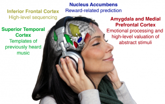 Cómo afecta la música al cerebro 
