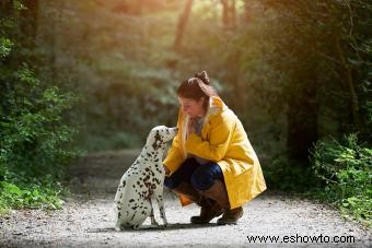 ¿Qué hace un psíquico de mascotas? 6 servicios que ofrecen