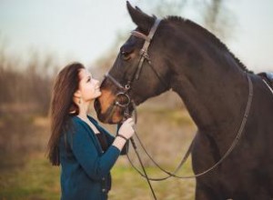¿Qué hace un psíquico de mascotas? Los 6 servicios esenciales que ofrecen