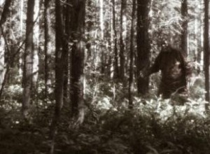 6 videos de Sasquatch:¿son un engaño o algo más?