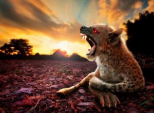 7 Avistamientos de Chupacabras Reportados en Todo el Mundo: Historias Reales y Explicaciones Científicas