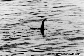 11 Datos sobre el monstruo del lago Ness:¿Es real la misteriosa criatura?