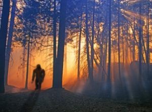 19 Avistamientos e Imágenes Icónicas de Bigfoot (Pie Grande): ¿Realidad o Falsificación?