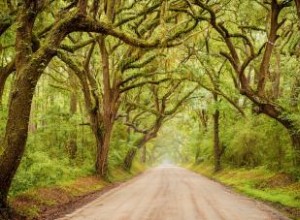 10 lugares embrujados en Carolina del Sur para aventuras fantasmales