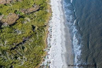 10 lugares embrujados en Carolina del Sur para aventuras fantasmales