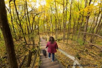 10 lugares embrujados en Wisconsin:¿Puedes desafiarlos a todos?