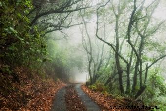 7 caminatas embrujadas en Washington y sus escalofriantes historias