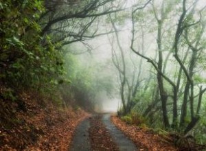 7 Senderos Embrujados en Washington: Historias Escalofriantes y Guía Detallada