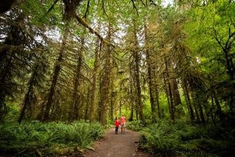 7 caminatas embrujadas en Washington y sus escalofriantes historias