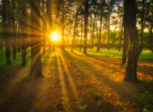 9 lugares embrujados en Nueva Jersey: encuentros paranormales reales