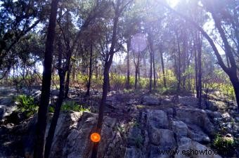 Colores del orbe fantasma y sus significados