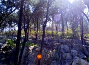 Significados de los Colores de los Orbes Fantasma: Guía Espiritual y Científica