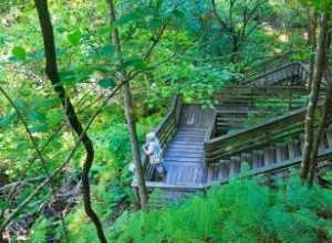 Cascadas encantadas en Florida para explorar:lo natural y espeluznante