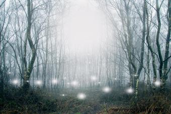 19 Señales de actividad paranormal:¿Estás experimentando un fantasma?