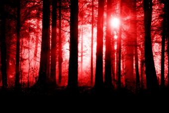 4 avistamientos de llamas fantasmas famosas de todo el mundo