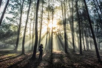 La mística y sus caminos en diferentes culturas