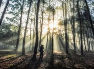 El misticismo y sus caminos en diversas culturas: Una exploración espiritual profunda