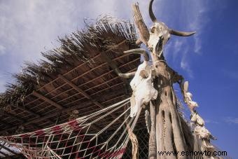 Brujería navajo:guía para la práctica misteriosa