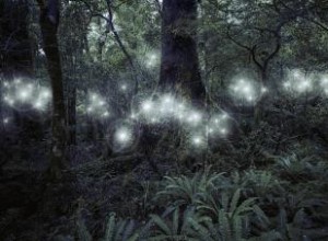 Consejos de fotografía de orbes:captura la imagen paranormal perfecta 