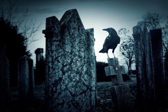 Estado paranormal:hechos sobre el espectáculo sobrenatural