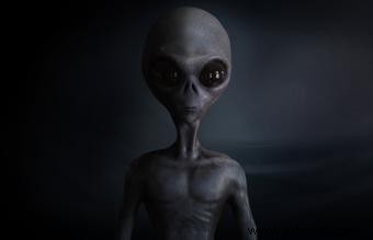 ¿Qué son los extraterrestres grises? Separando la realidad de la ficción