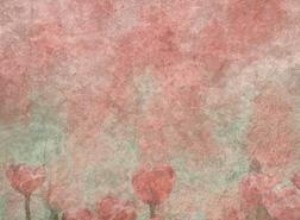 Texturas Gratuitas para Photoshop: Mejores Sitios y Cómo Usarlas Efectivamente