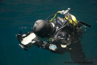 Guía para tomar fotografías submarinas con una cámara digital