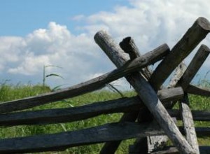 La Regla de los Tercios en Fotografía: Guía Experta para Composiciones Perfectas