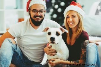 Qué ponerse para el retrato familiar de Navidad