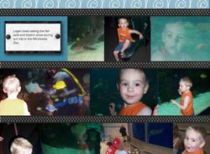 Álbumes de Recortes Digitales y Encuadernados: Guía Completa para Principiantes