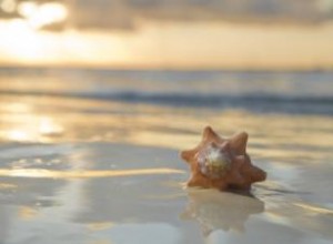 Cartuchos Temáticos de Playa para Máquinas Cricut de Provo Craft: Diseños Perfectos para Scrapbooking