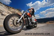 Pegatinas Harley Davidson 