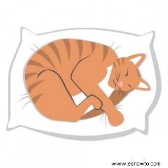 Adorno de gato durmiente