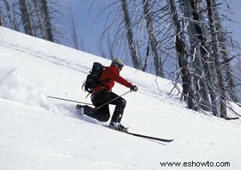 ¿Cuáles son los diferentes tipos de esquí?