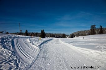 Nieve pisanieves