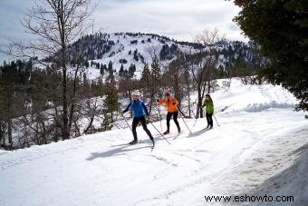 Áreas de esquí de Big Bear