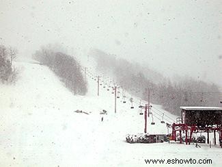 Estaciones de esquí de Michigan
