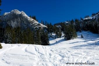 Resort de montaña con raquetas de nieve