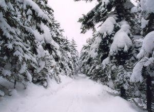 Estaciones de esquí de Vermont