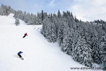 Zona de esquí Wisp