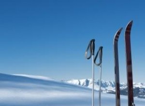 Esquís Praxis