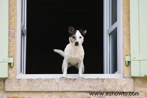 ¿Cuál es la mejor manera de evitar que un ladrón entre en su casa?