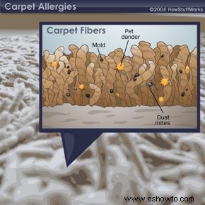 ¿Por qué las alfombras provocan alergias en algunas personas?