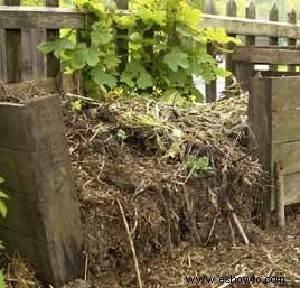 Cómo hacer crecer un jardín de hierbas