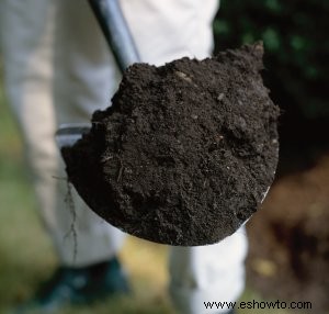 Cómo hacer crecer un jardín de hierbas